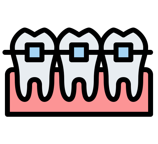 An Extensive Guide About The Types, Functions & Anatomy of Human Teeth